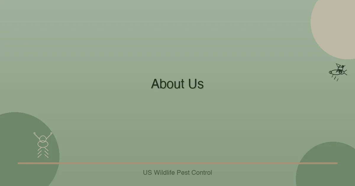 About Us