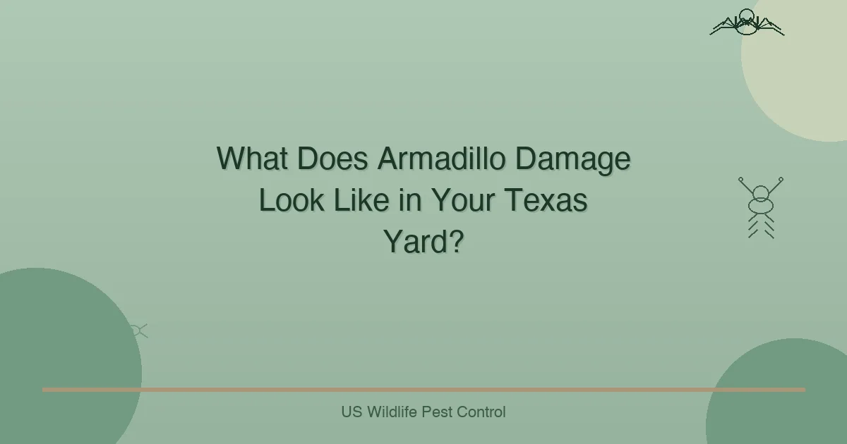 What Does Armadillo Damage Look Like in Your Texas Yard?