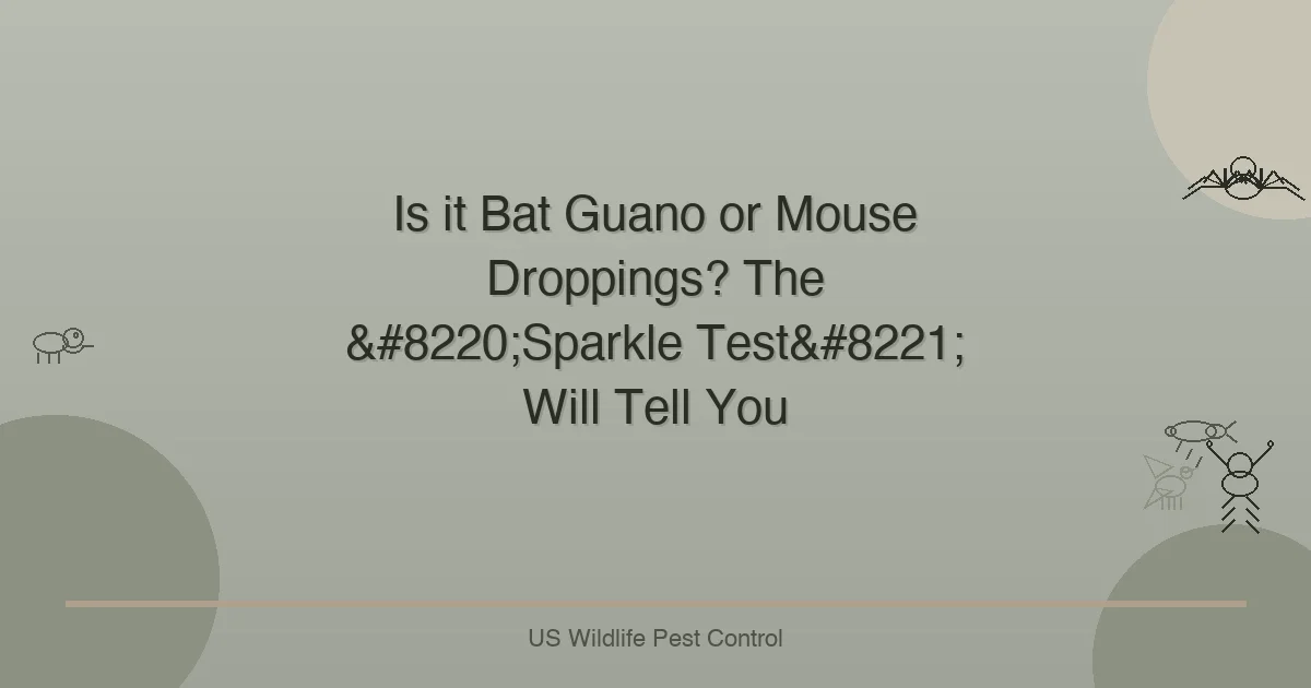 Is it Bat Guano or Mouse Droppings? The “Sparkle Test” Will Tell You