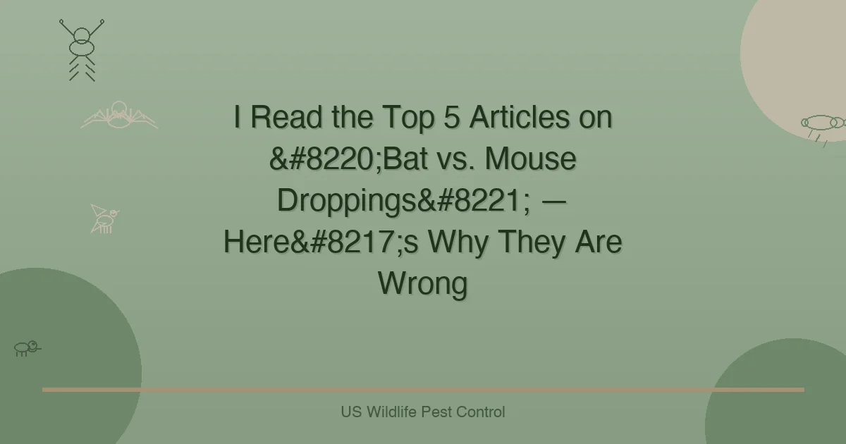 I Read the Top 5 Articles on “Bat vs. Mouse Droppings” — Here’s Why They Are Wrong