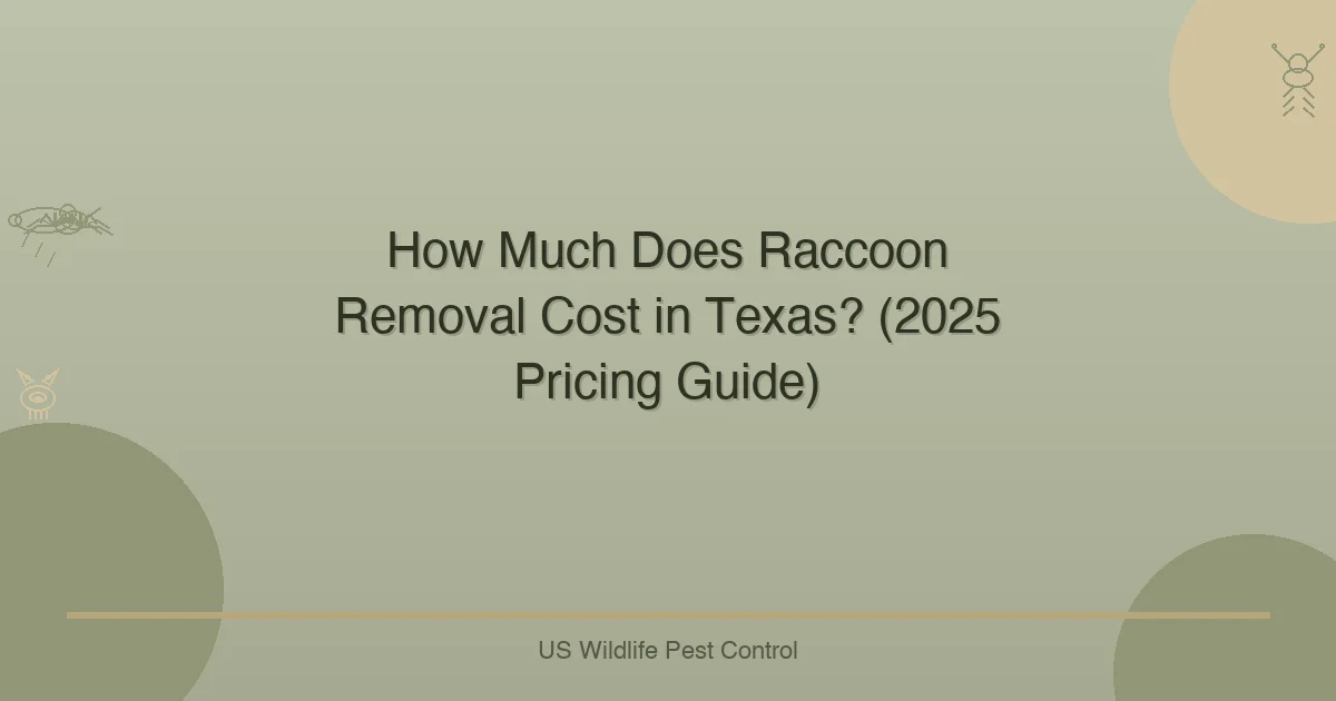 How Much Does Raccoon Removal Cost in Texas? (2025 Pricing Guide)