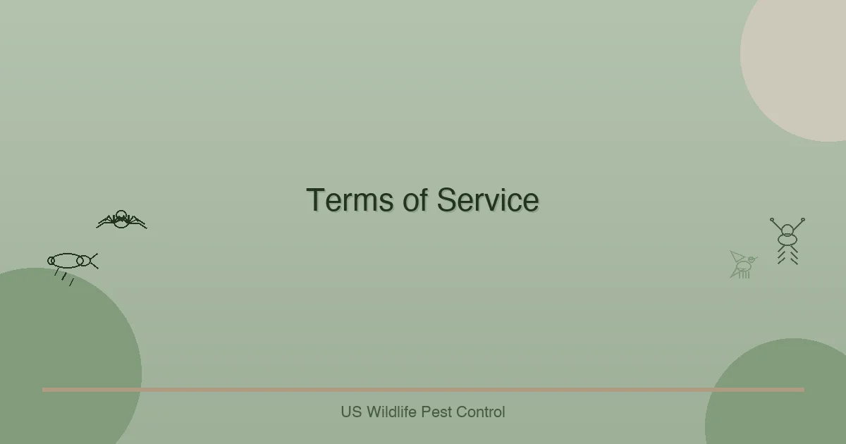 Terms of Service