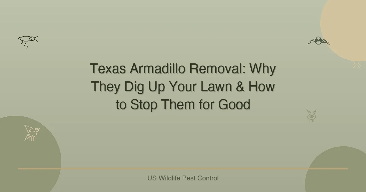 Texas Armadillo Removal: Why They Dig Up Your Lawn & How to Stop Them for Good