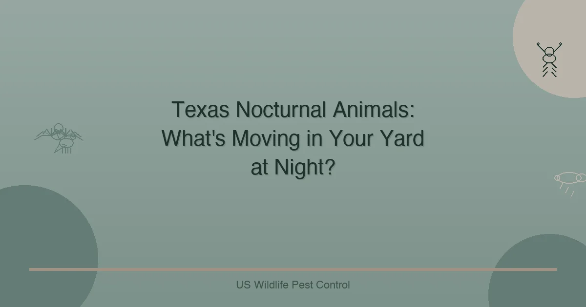 Texas Nocturnal Animals: What's Moving in Your Yard at Night?