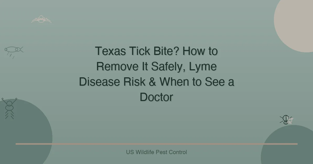 Texas Tick Bite? How to Remove It Safely, Lyme Disease Risk & When to See a Doctor