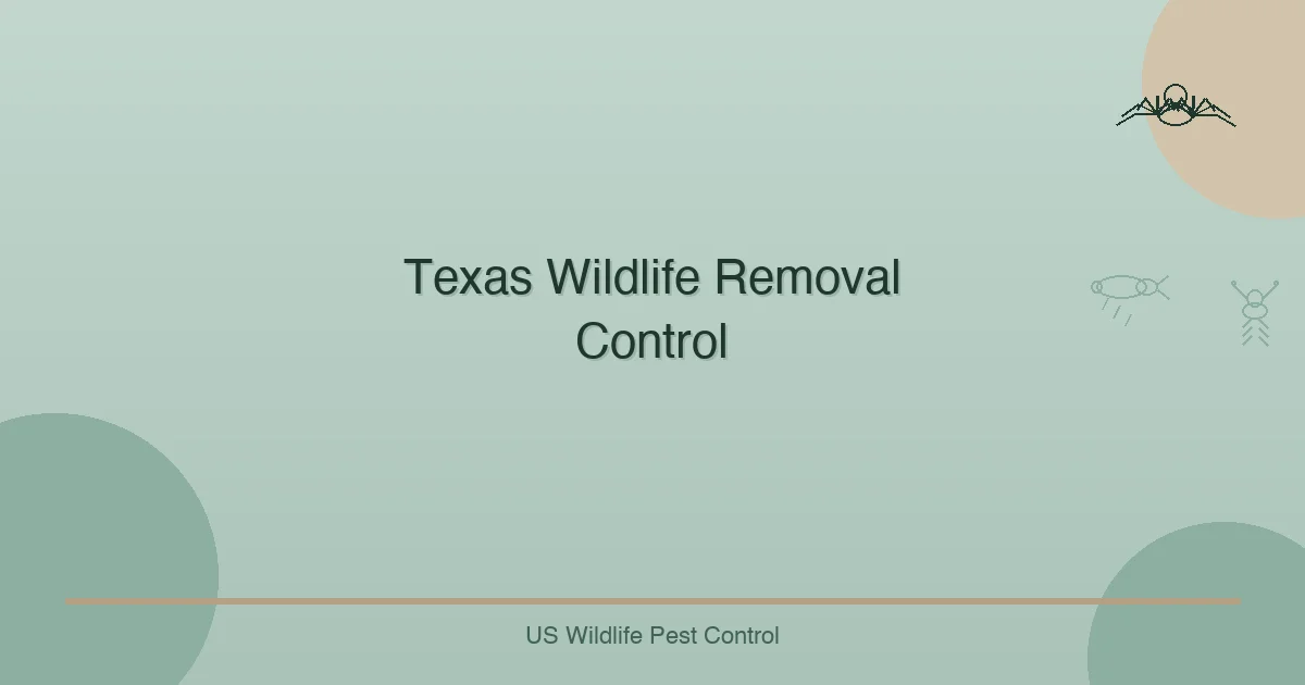 Texas Wildlife Removal  Control