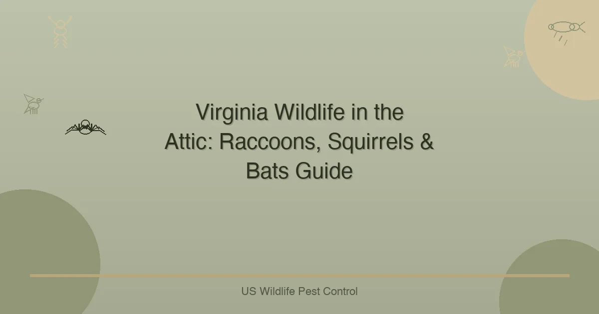 Virginia Wildlife in the Attic: Raccoons, Squirrels & Bats Guide
